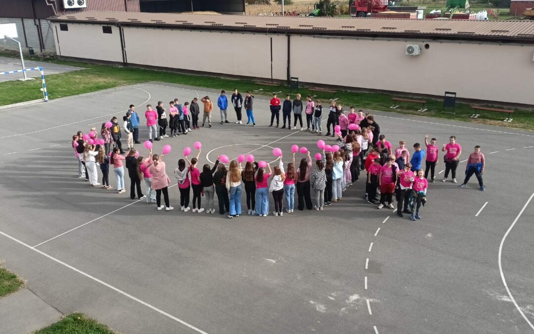 RUŽIČASTI LISTOPAD u našoj školi