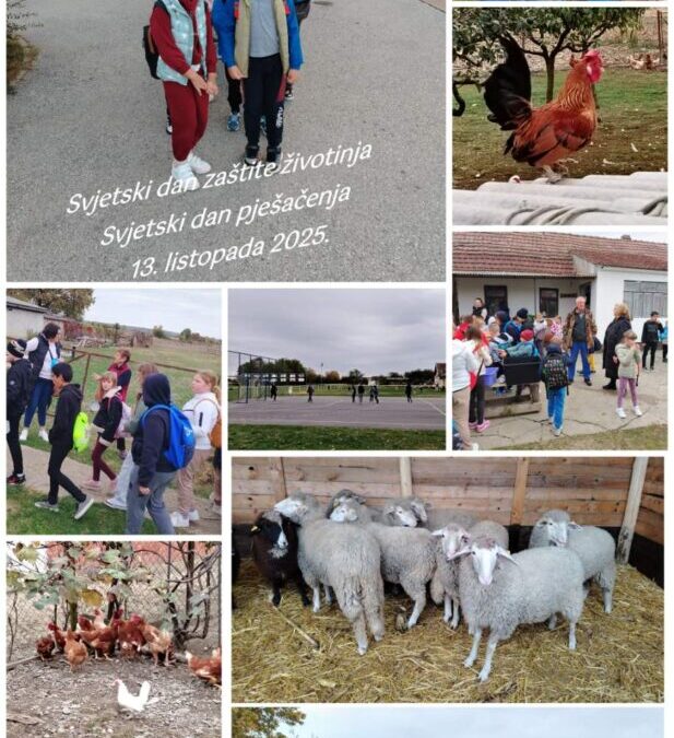 Svjetski dan zaštite životinja i Svjetski dan pješačenja