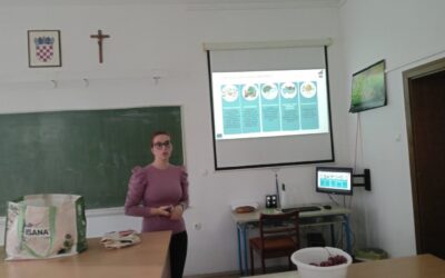 Školska shema