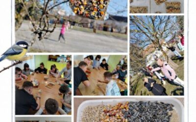 Izrada hranilica za ptice u PŠ Breznica Našička