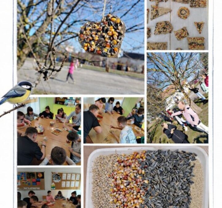 Izrada hranilica za ptice u PŠ Breznica Našička