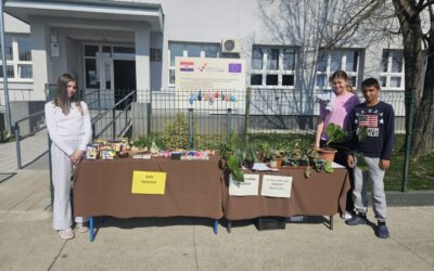 Dan narcisa – humanitarna prodaja