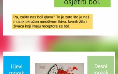 Tjedan mozga u našoj školi