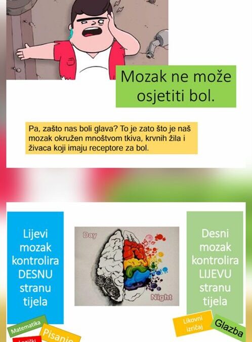 Tjedan mozga u našoj školi